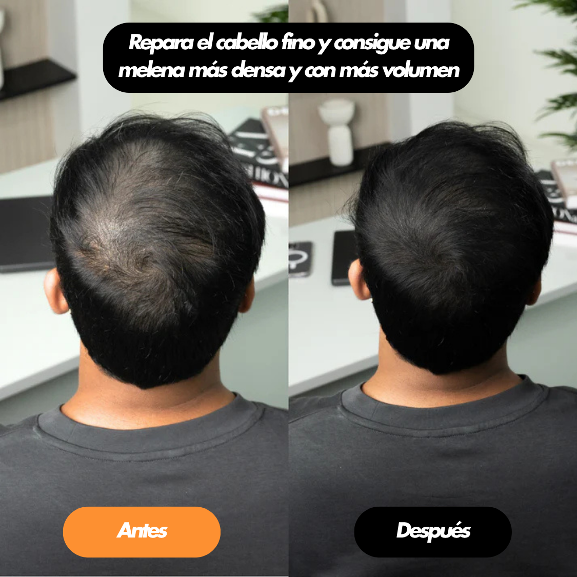 DenseUp® Polvo Rellenador Capilar